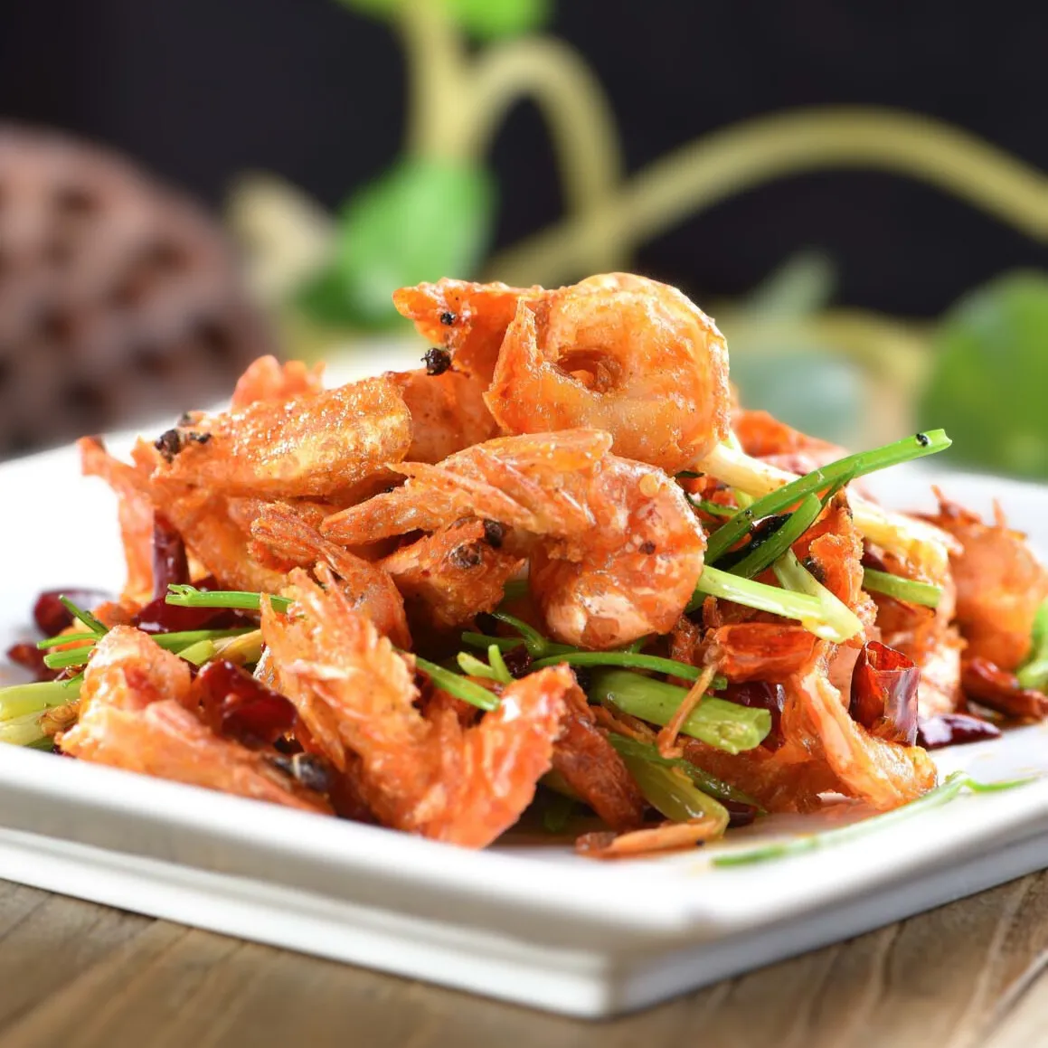 MENU design by Judi Radice メニューデザインオーク出版 メニューデザイン - MENU DESIGN LABO THAILAND